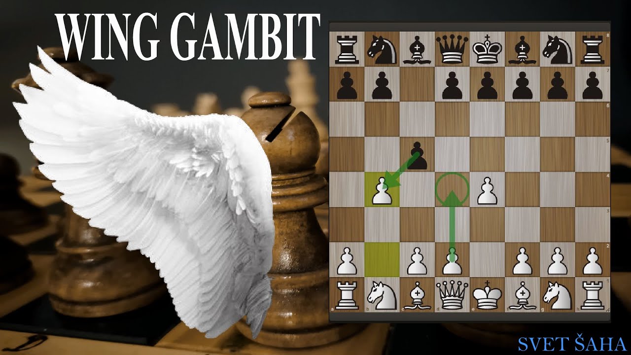 Wing gambit - Šahovsko otvaranje za belog i crnog + šahovska partija Dubov vs Savchenko