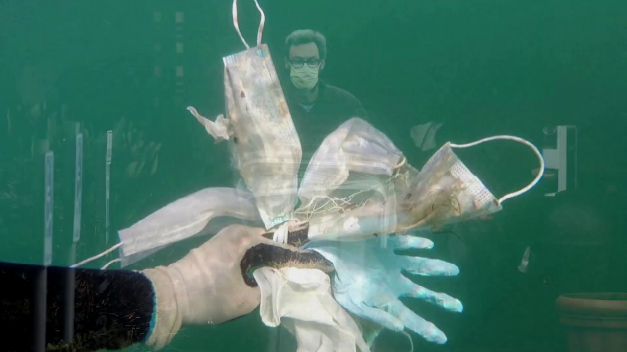 A new type of ocean pollution: PPE