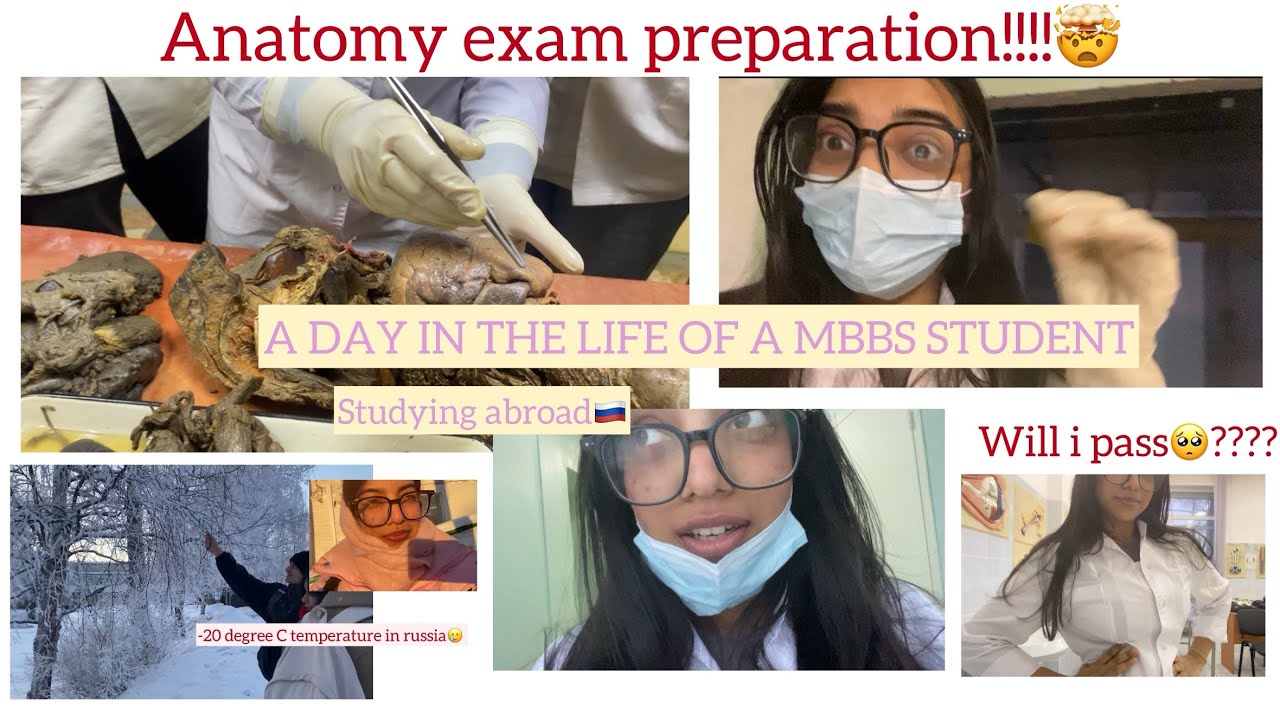 🍀DAY IN THE LIFE OF A SECOND YEAR MBBS STUDENT🩺| ANATOMY EXAM PREPARATIONS😿