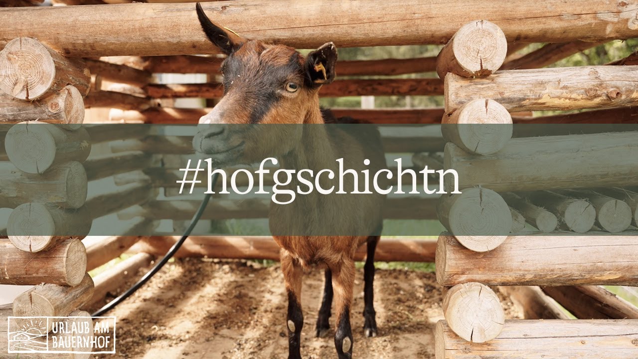#hofgschichtn vom Kinderbauernhof Maurachhof im Salzburger Land