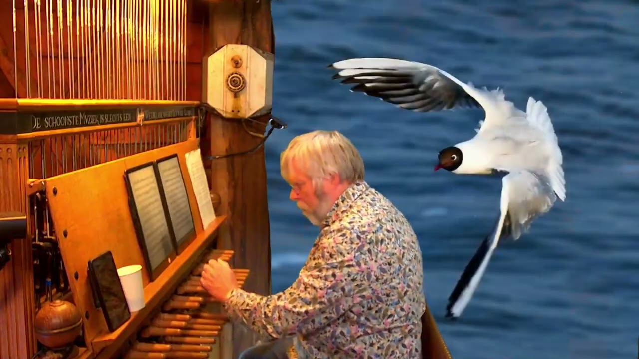 Schoonhoven Livestream carillion Boudewijn Zwart 7 maart 2026 Thema: Vogels Vogelbescherming