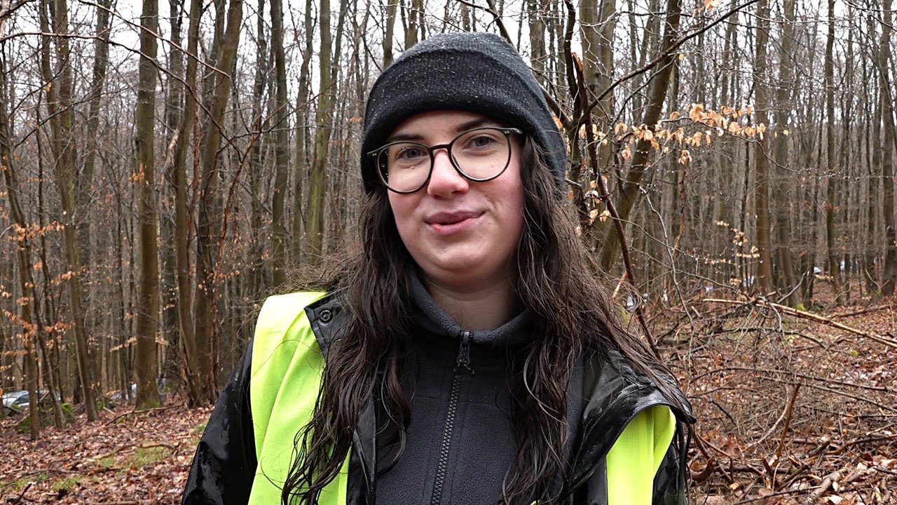 PUNKTum Sangerhausen / Wippra Baumpflanzaktion für einen gesunden Wald in Mansfeld-Südharz