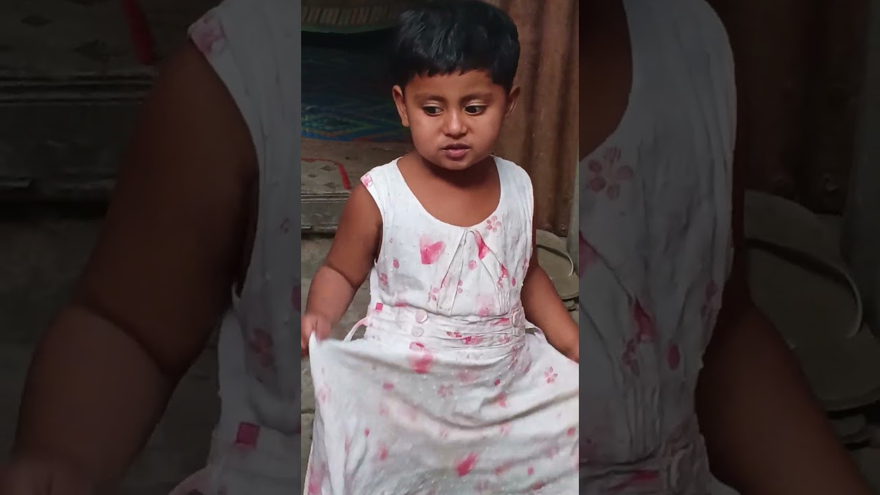 নিজেদের গাছের বরই পাড়া হলো
