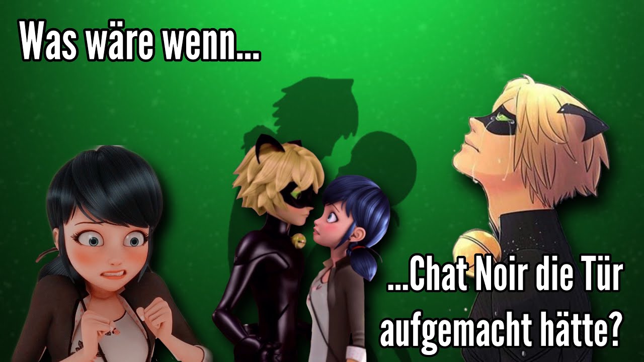 Was wäre wenn Chat Noir die Tür aufgemacht hätte? | Miraculous Polar Bear