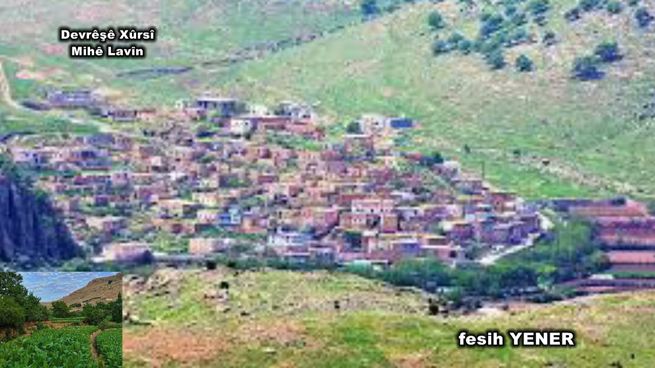 Devrêşê xûrsî Mihê Lavîn