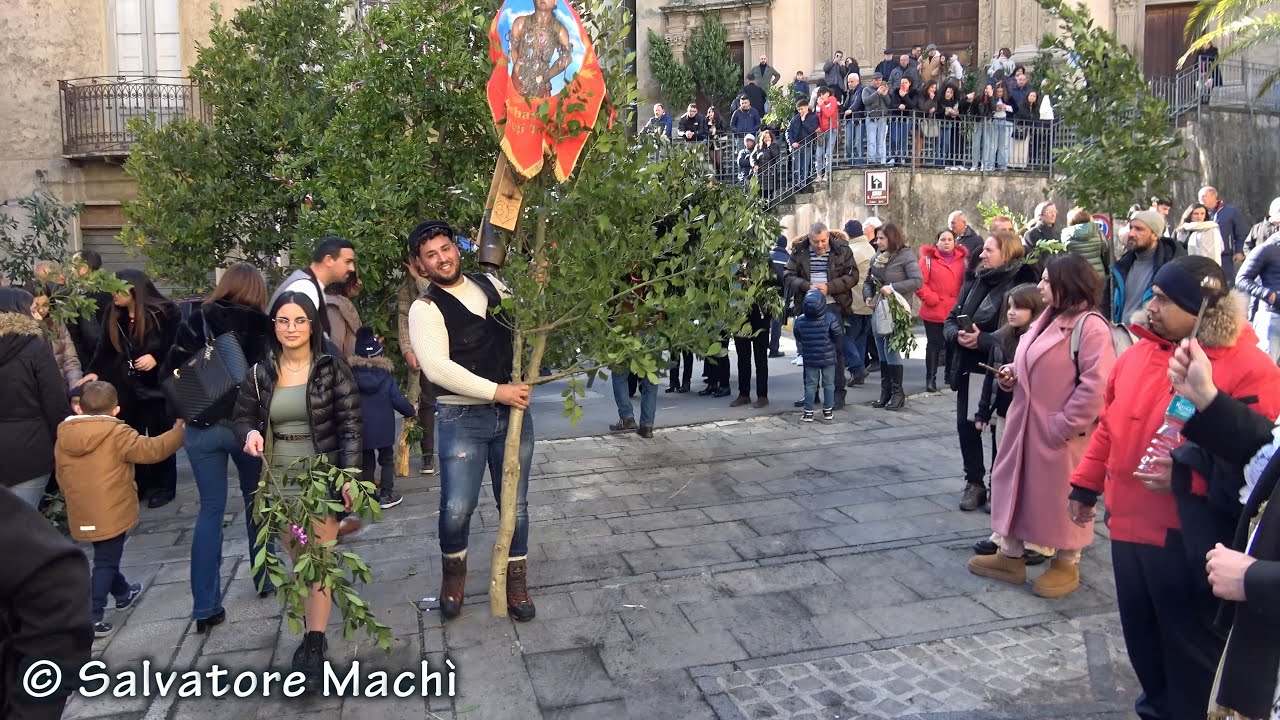 Tortorici (ME) - Processione dell'alloro - 2024