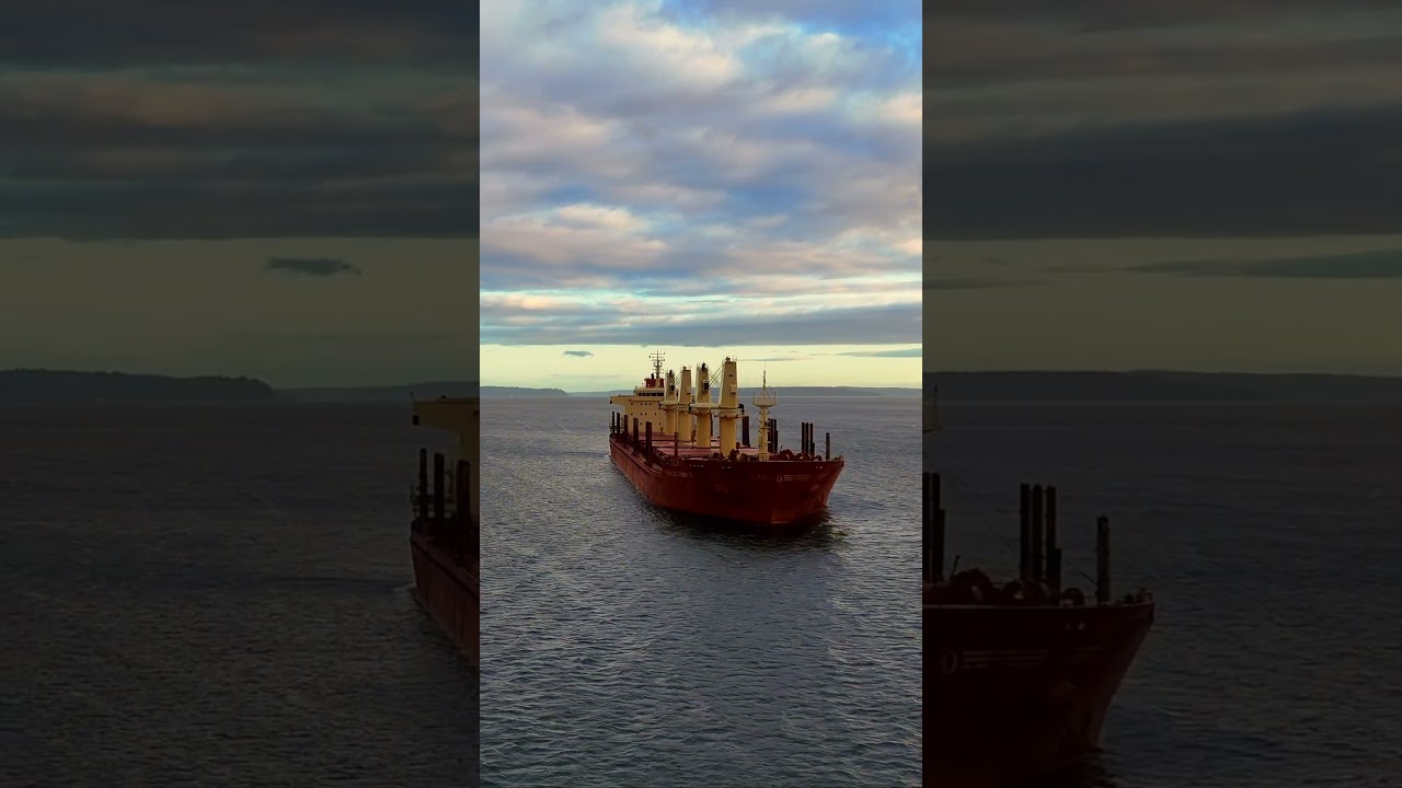 Elliot Bay's Cargo Ship: A Maritime Marvel