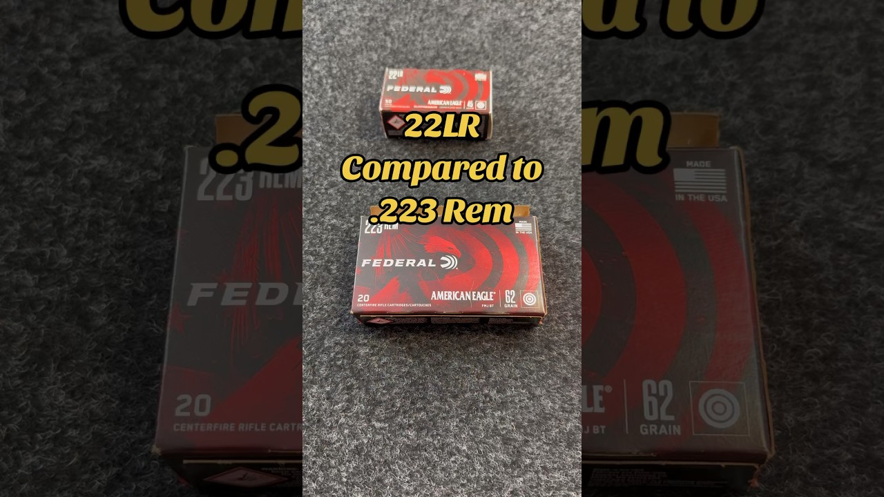 Ammo Comparison 22LR VS .223 Rem #ammo #22lr #223 #shorts