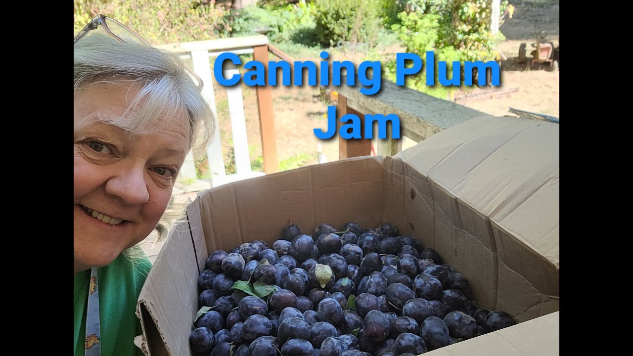 Home canned Plum Jam