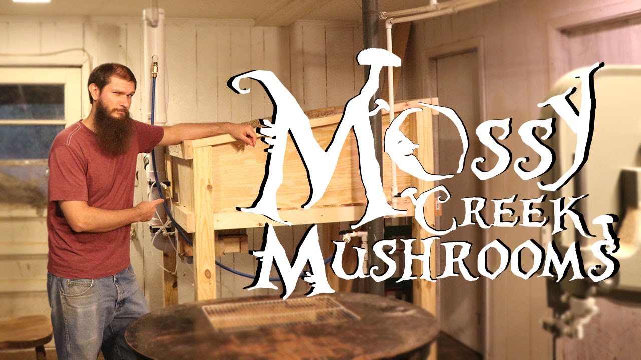 Бен построил самодельную деревянную упаковку для грибов!