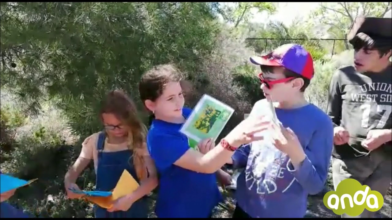 OCIO Y T. LIBRE EN ANDA 