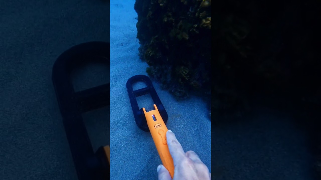 Quest Scuba Tector Pro Metal detector subacqueo #metaldetector #metaldetecting #quest