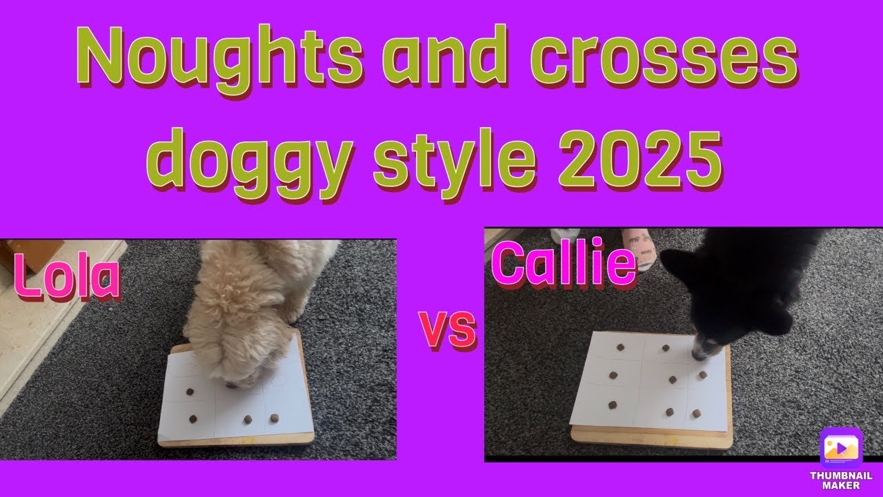 nought and crosser doggy style 2025