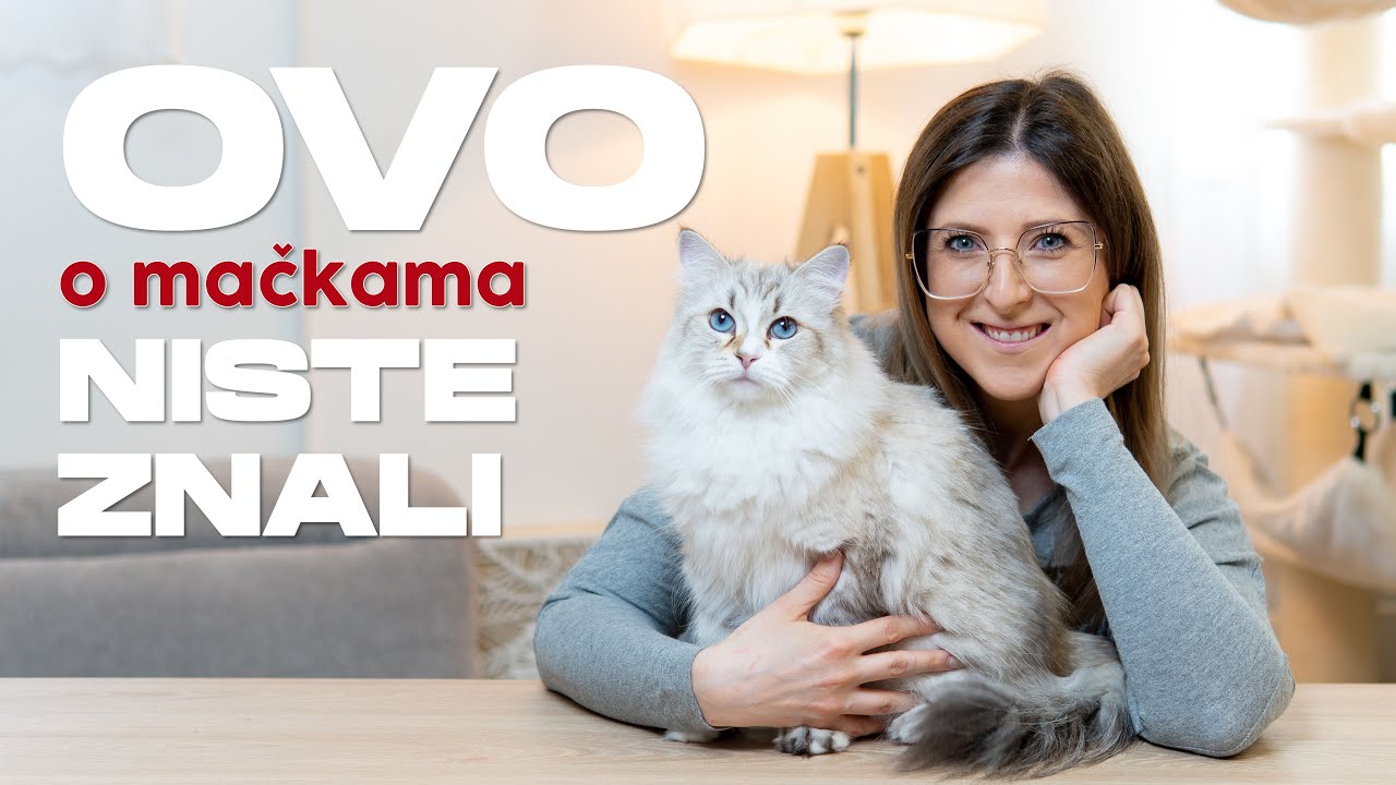 Činjenice o mačkama koje niste znali