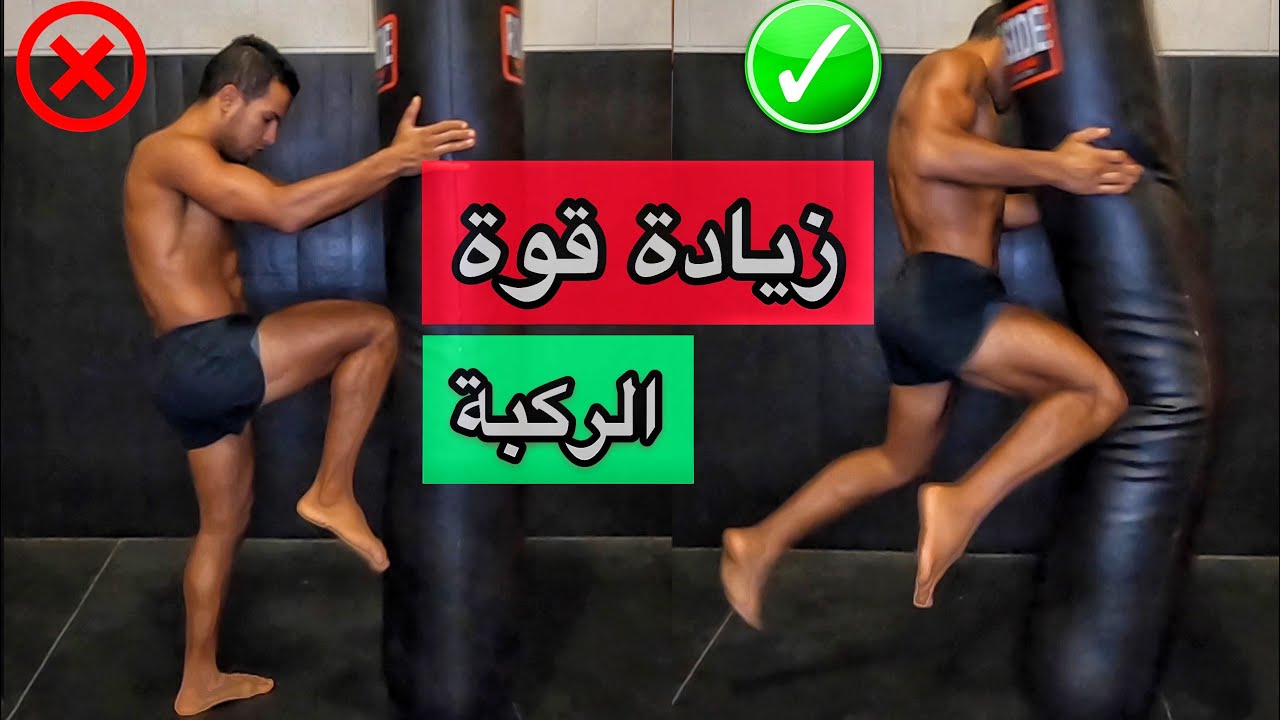 طريقة تدريب على الركبة وحدة من اخطر اسلحة في المواي تاي
