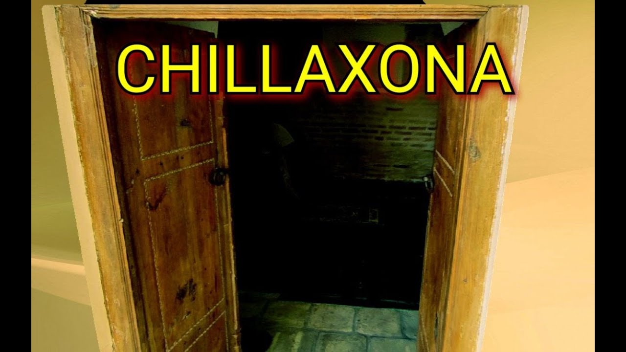 CHILLAXONA HAQIDA SIZ BILMAGAN MA`LUMOTLAR.