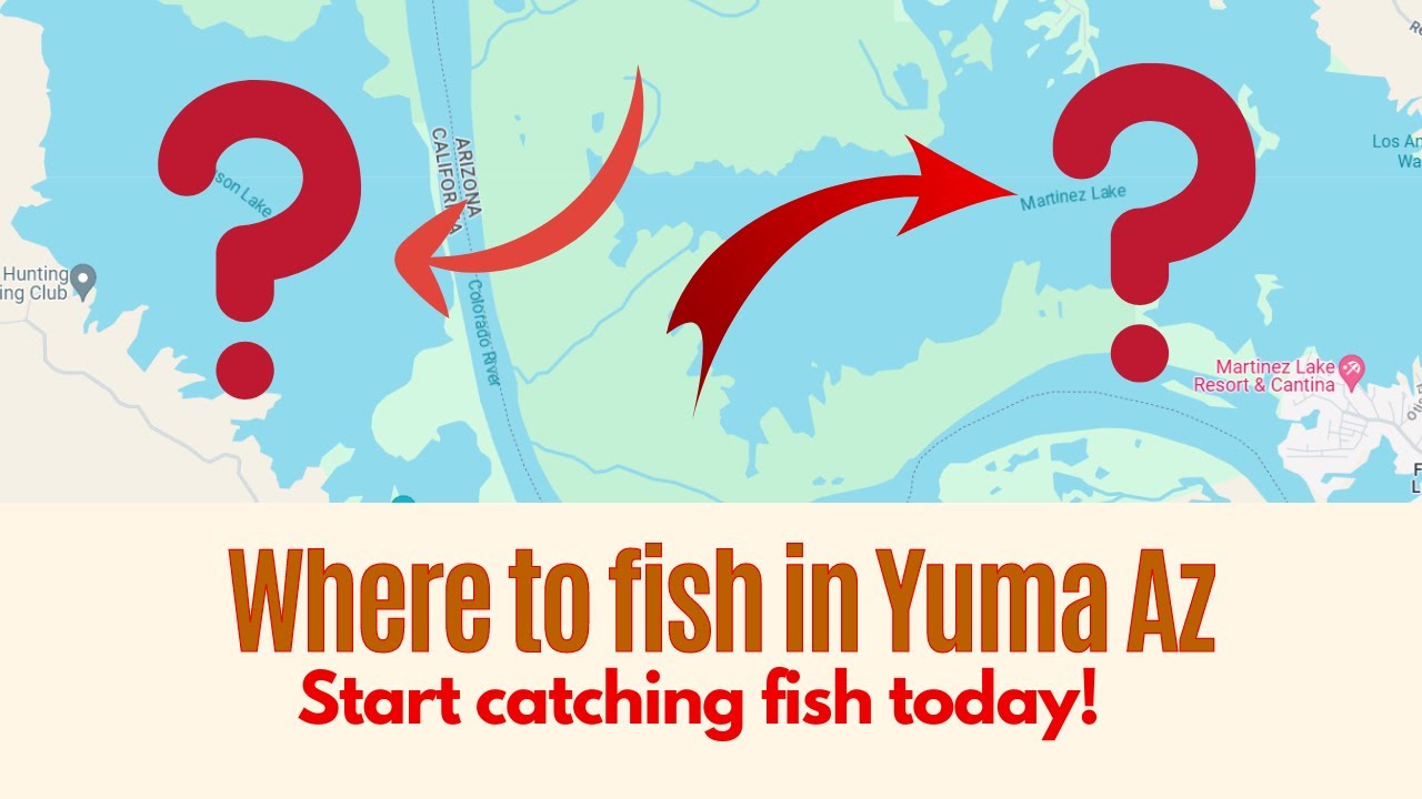 Where to fish in Yuma