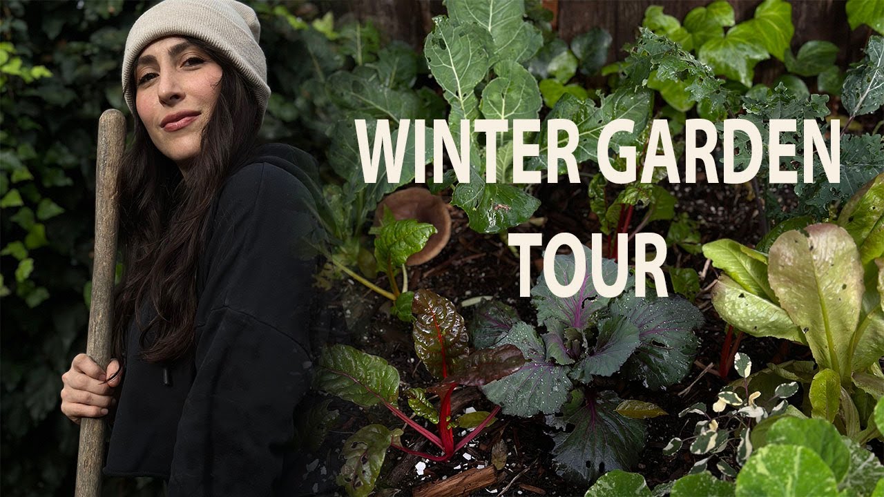 Tour my small California Garden & Future Plans.