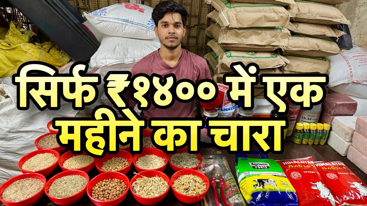 Sirf ₹1400 Mein 1 Month Goat Feed by M.S Agro Feeds, Jogeshwari West, Mumbai | All India Delivery