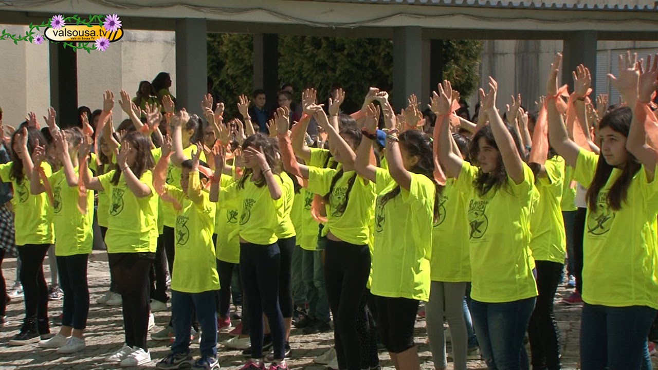 Mais de 300 alunos penafidelenses assinalaram o Dia Mundial da Dança