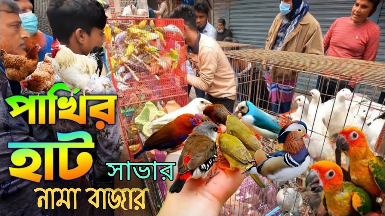সাভার নামা বাজার হাট || Savar Nama Bazar || Vlog 2025