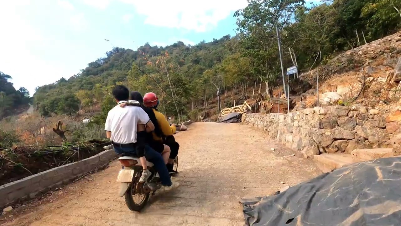 Cùng ngắm cảnh hoa mận nở giữa núi rừng bao la, cảnh hoàng hôn tiệm cafe trên đỉnh núi Mu Máu Farm