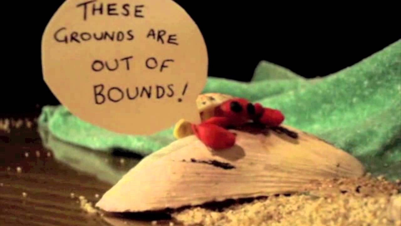August and After - The Orchard (Official Music Video)