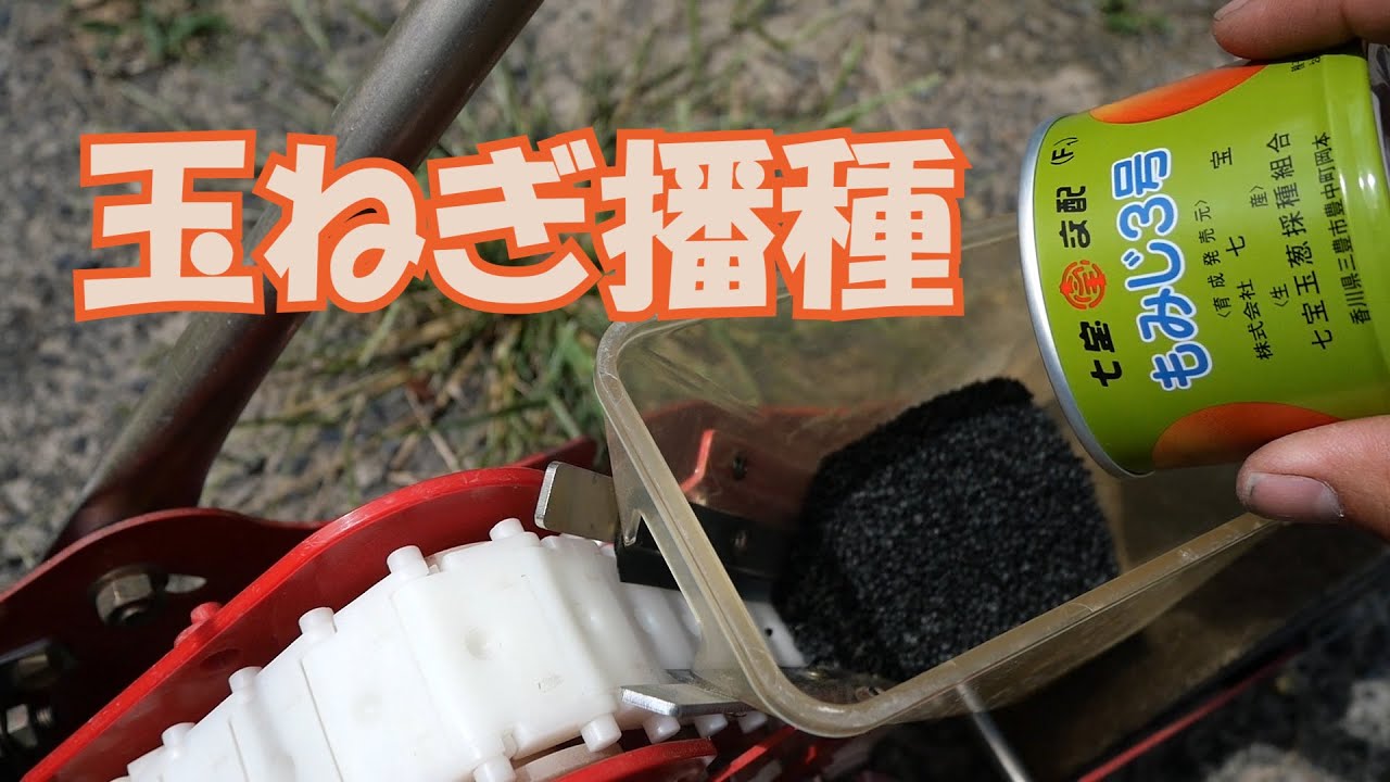 玉ねぎ播種作業と大根白菜の畝立て20/9/14＃1060