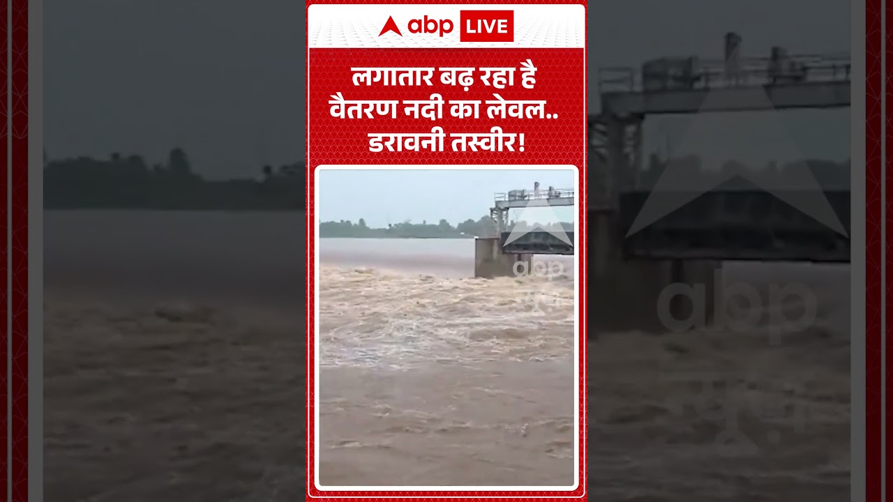 Viral Video: The level of the Vaitarna River is continuously rising... a scary picture! #Bhadrak #OdishaFloods