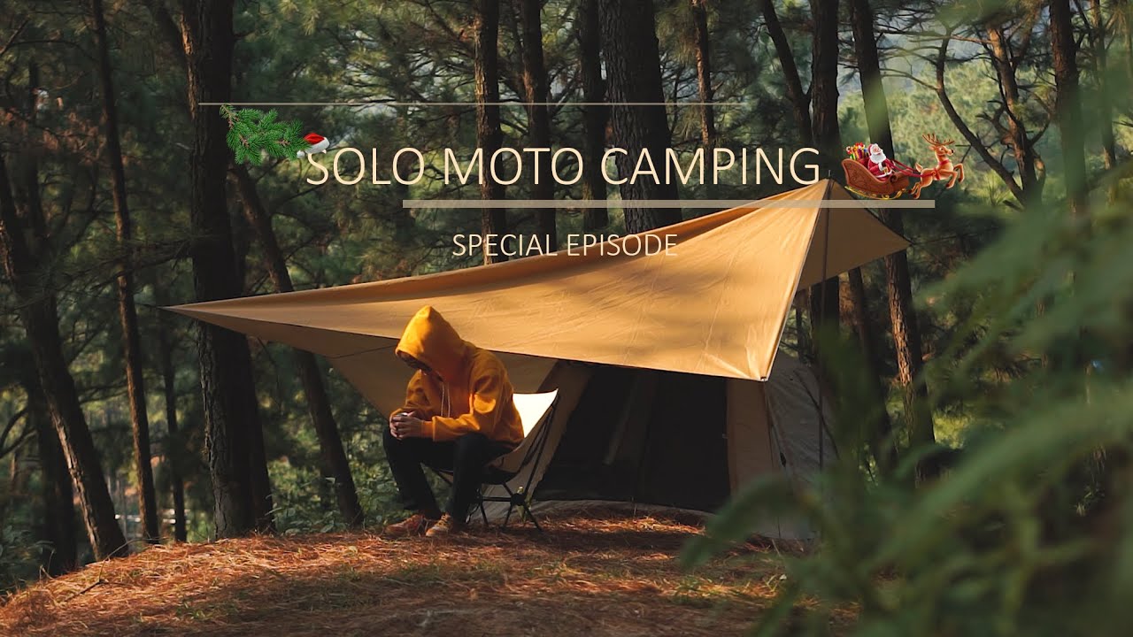 Solo Moto Camping | Celebrate Christmas In The Pine Forest | Relaxing Music | Special Episode