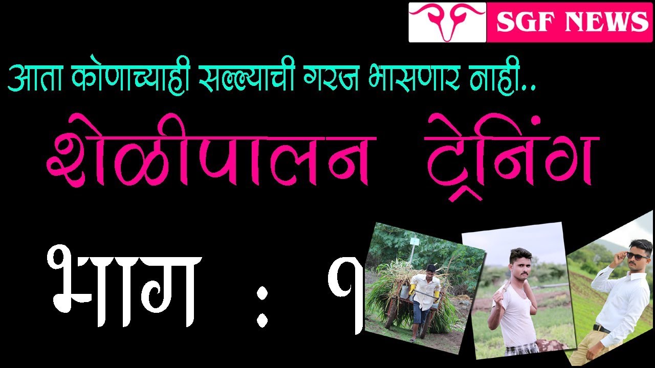 शेळीपालन ट्रेनिंग भाग - १ ( आता कुणाच्या सल्ल्याची गरज भासणार नाही..! )