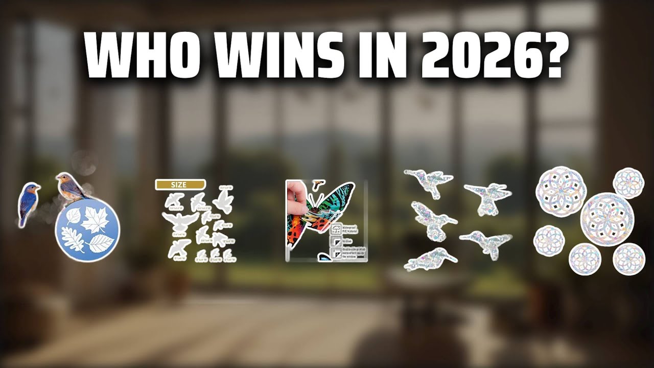 The Top 5 Best Bird Strike Decals in 2026 - Must Watch Before Buying!