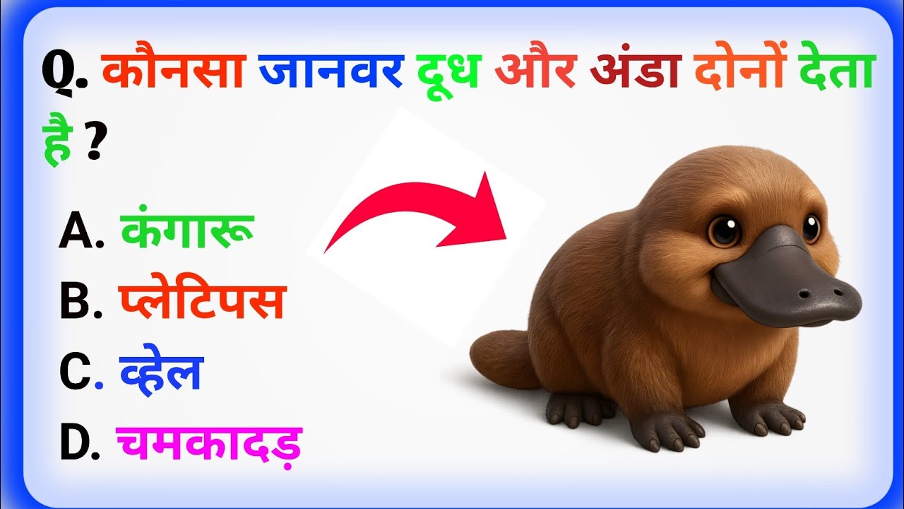 GK questions || gk questions and Answer || gk quiz || #BCMRA GK STUDY ||