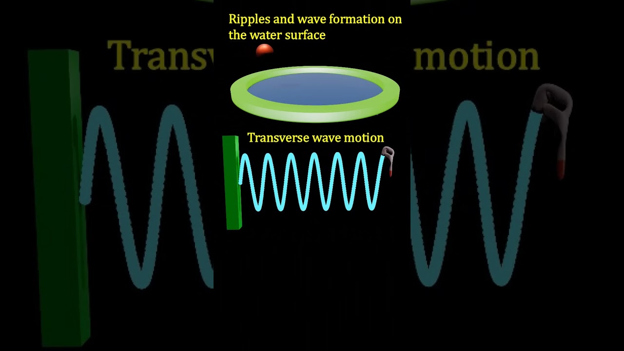 #ripples