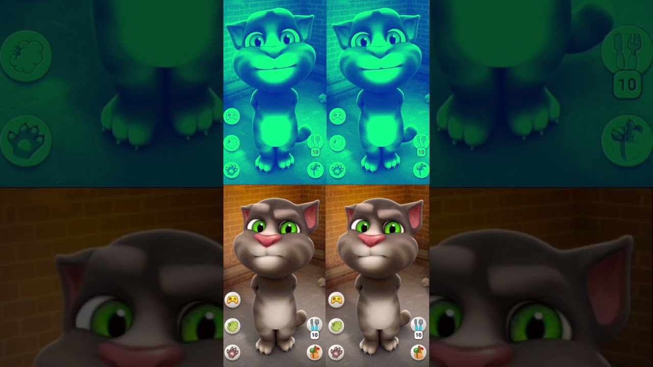my talking cat 😂 #mytalkingtom #mytalkingcat #talkingtom #trending #shorts