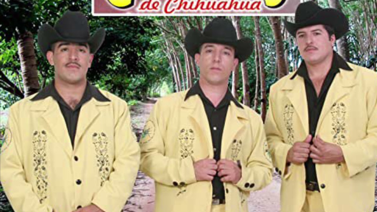 Los gallitos de chihuahua yo soy de rancho