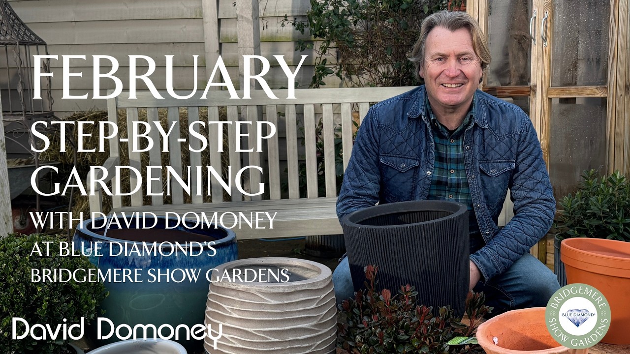 Easy February | Step-by-Step Gardening at Blue Diamond's Bridgemere Show Gardens | Episode 8