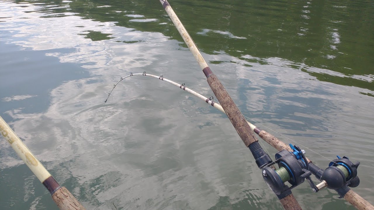 Catching Catfish For Beginners