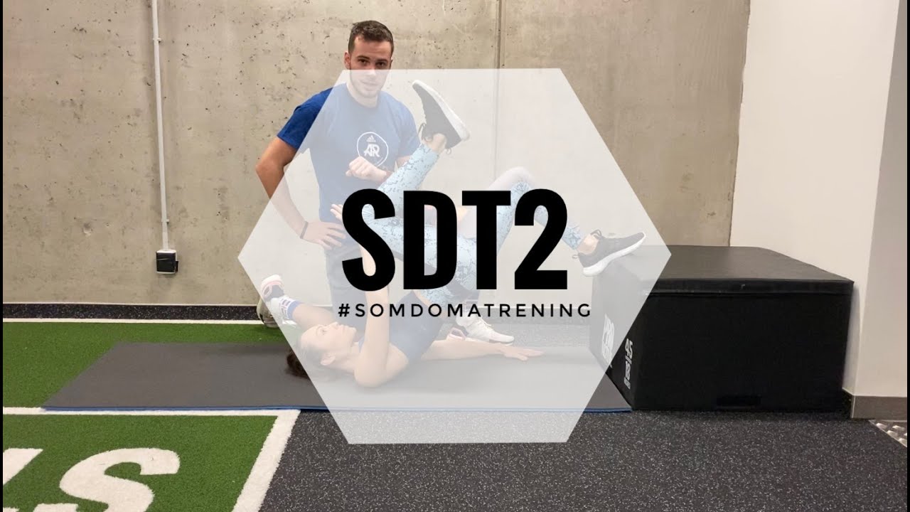 #SDT2