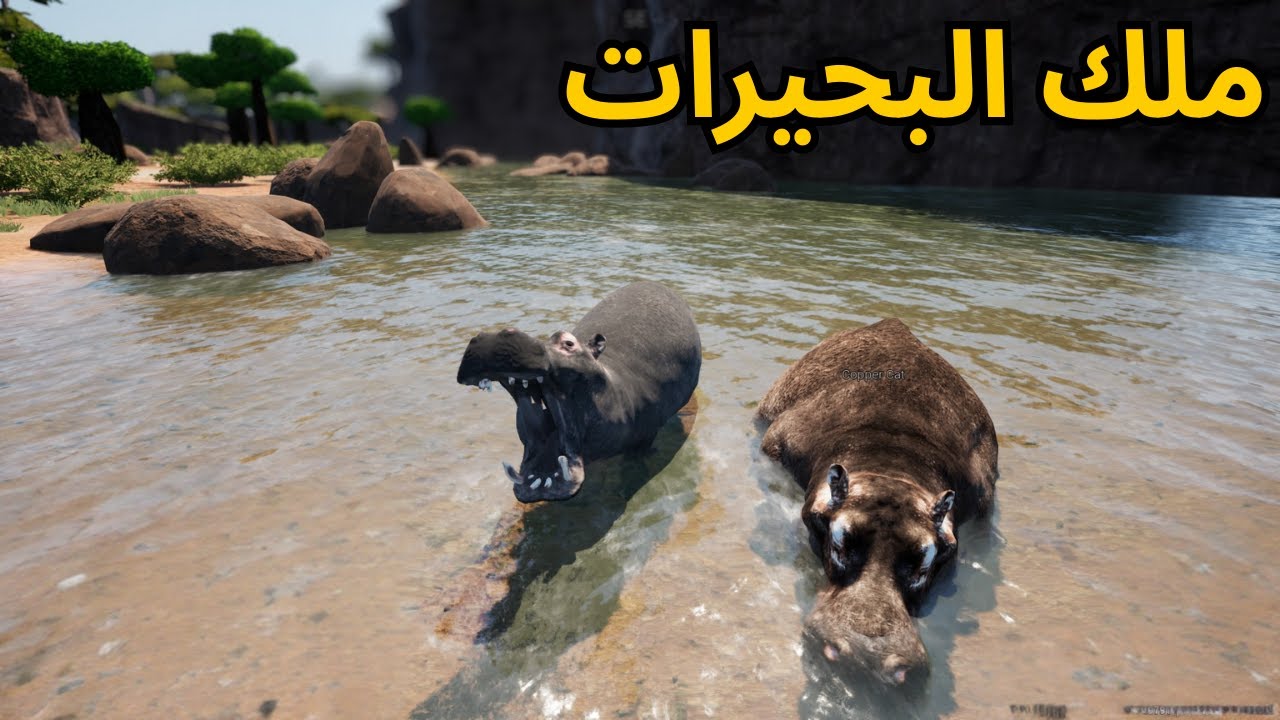 انميليا سيرفايفل #10 استعراض قوة فرس النهر 🦛🔥 - Animalia Survival