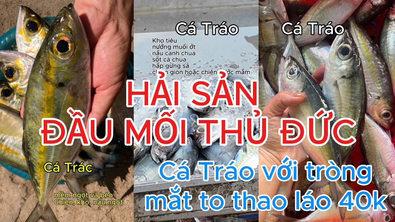 Đi Chợ Cá phân biệt Cá Tráo – Cá Trác | Đố Vui Cá Tra Và Cá Basa | Giá Cá Chợ Thủ Đức 13/3/2026