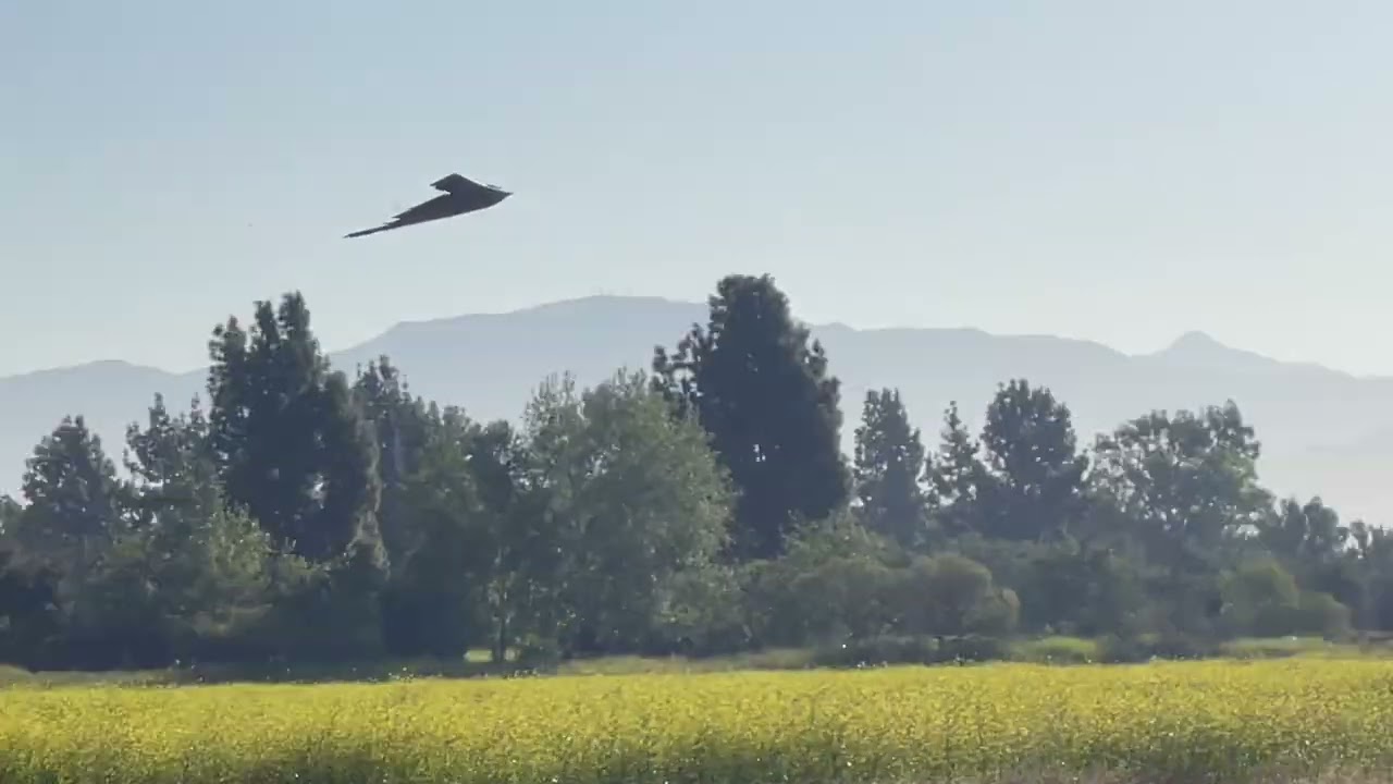 MOTIONrc Freewing B-2 Spirit Bomber (Maiden Flight)