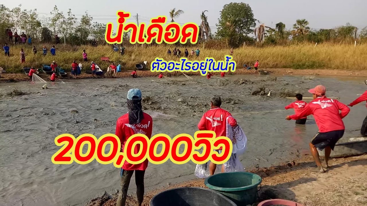 ลงแหจับปลาอย่างดุเดือด น้ำกระจาย