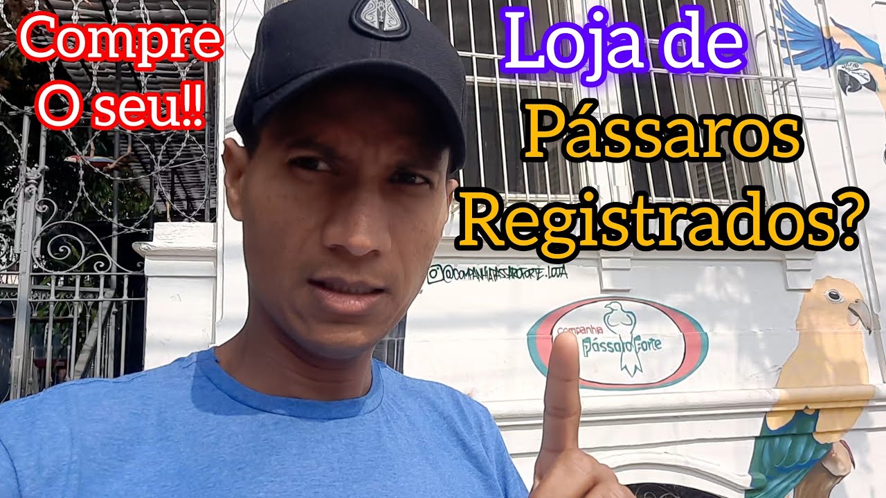 LOJA PASSARO FORTE RIO DE JANEIRO TIJUCA. 