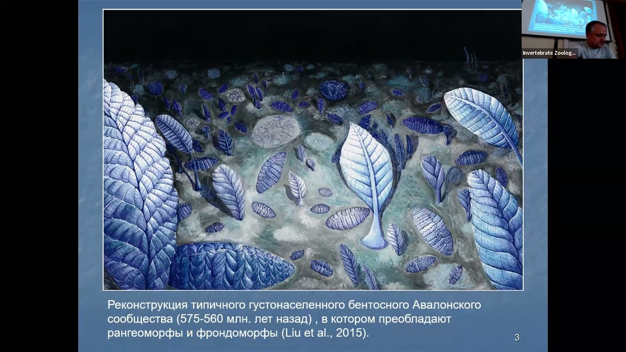 69-e Догелевские чтения, 2024-05-16
