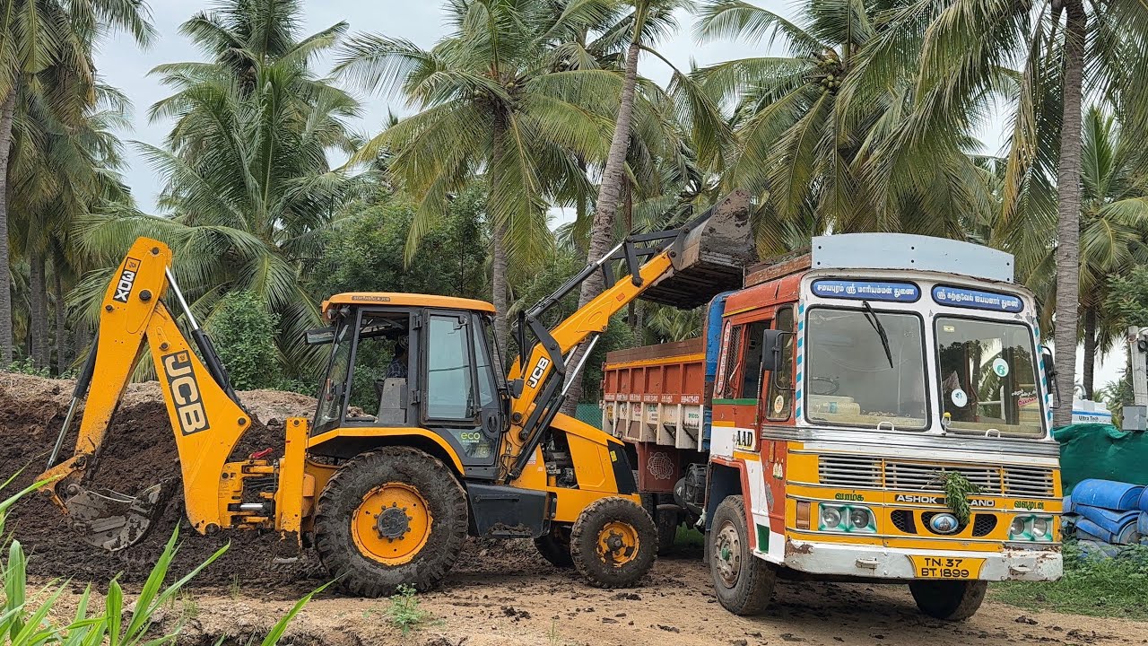 JCB 3DX Cow Dung Loading in Ashok Leyland 4x2 Tipper | jcb video