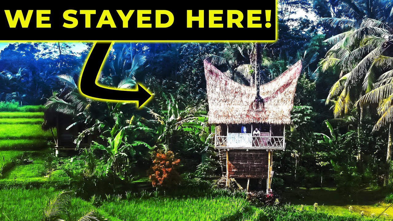 We Stayed in a TREE HOUSE & Explore a GHOST TOWN!