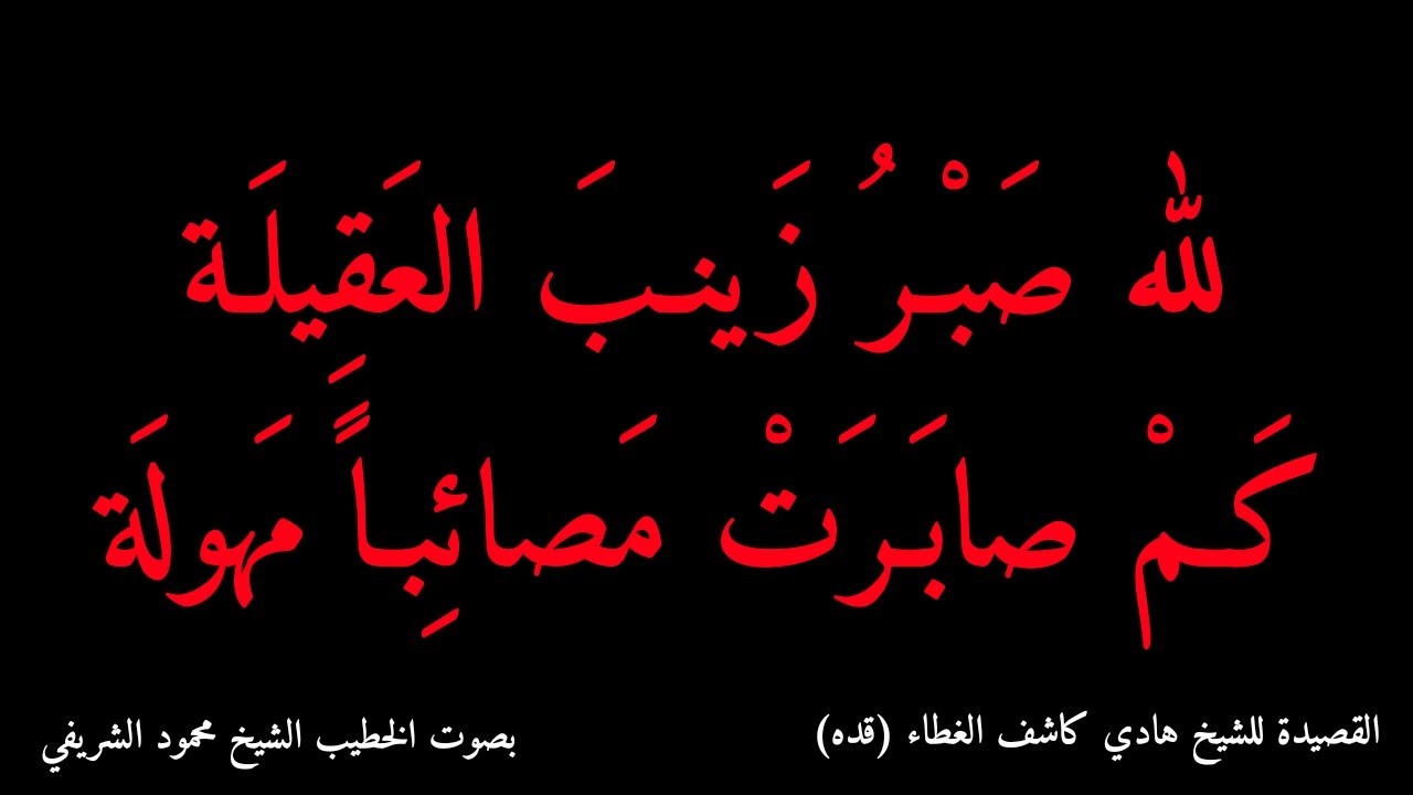 لله صبر زينب العقيلة ** كم شاهدت مصائباً مهولة (الشيخ محمود الشريفي)