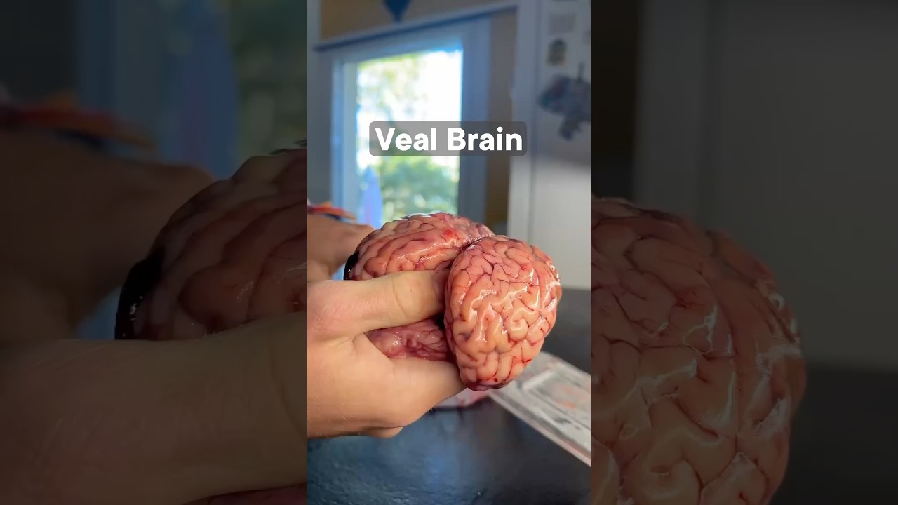 Veal Brain 🧠 Get the Recipe on @gronda
