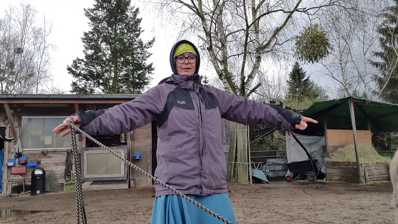 Esel longieren für Anfänger